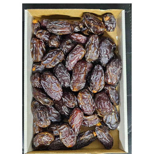 MEDJOUL CLASSIC PALESTINE