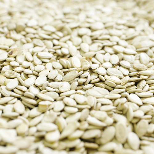 Watermelon seed (Jumbo grade)