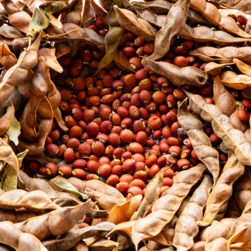 Pigeon peas