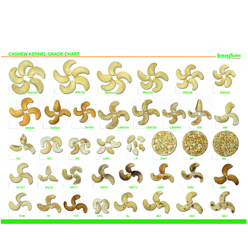 Cashew Kernels