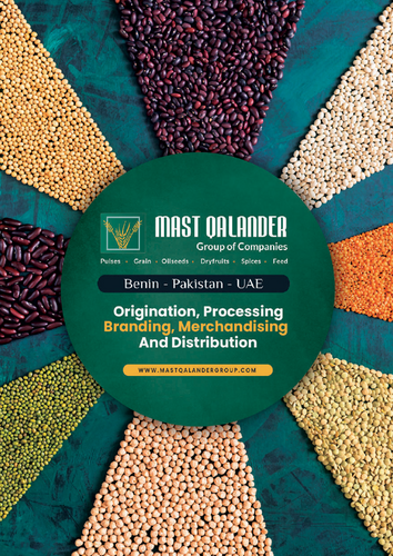 MAST QALANDER GROUP OF COMPANIES