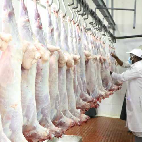 Mutton Meat - Gulfood 2026