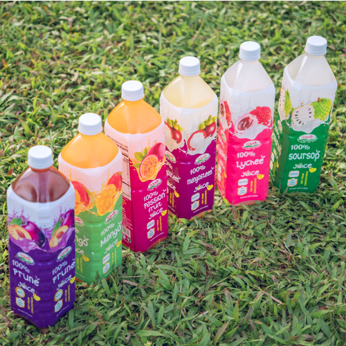 100% Fruit Juice Drink Wholesale Beverage in Vietnam Free Sample OEM ODM