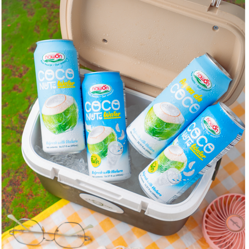 Hot Product Pune Coconut Water Drink Nawon Manufacturer