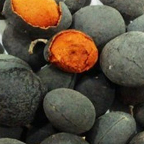 Velvet Tamarind