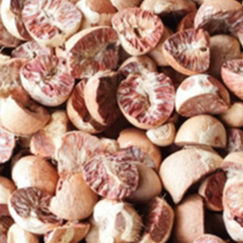 Betel / Areca Nuts