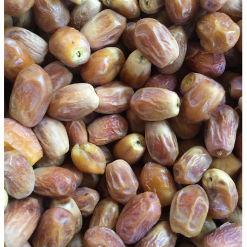 Iraqi Dates