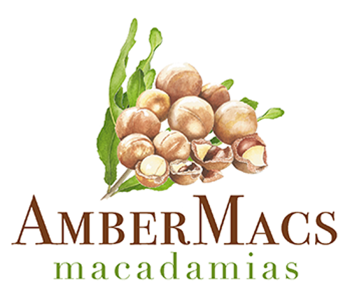AmberMacs Brochure 2025