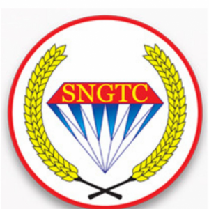 SYED NAEEM GENERAL TRADING CO. LLC