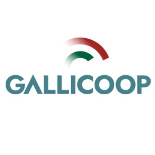 Gallicoop Plc.