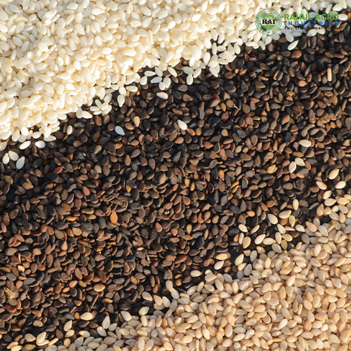 Rahul Agro Industries Showcases Premium Indian Sesame Seeds & Agri Commodities at Gulfood 2026