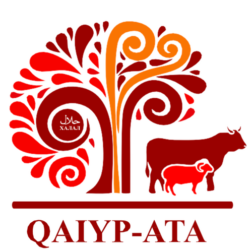 QAIYP‑ATA