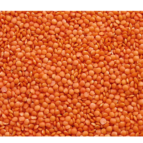Barley, Red Lentil, Green Lentil by GRAIN CONSORTIUM OF QAZAQSTAN