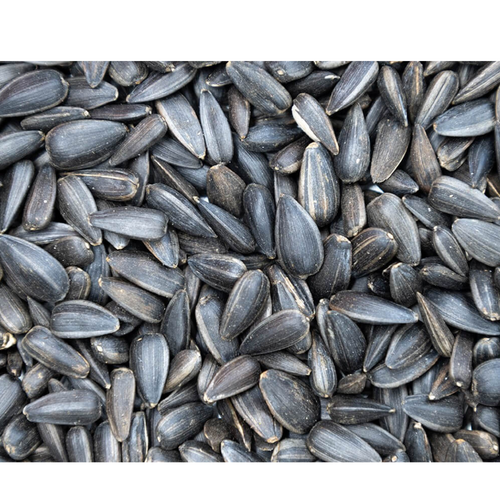 Pea, Flaxseeds, Sunflower Seeds by GRAIN CONSORTIUM OF QAZAQSTAN