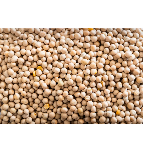 Pea, Flaxseeds, Sunflower Seeds by GRAIN CONSORTIUM OF QAZAQSTAN