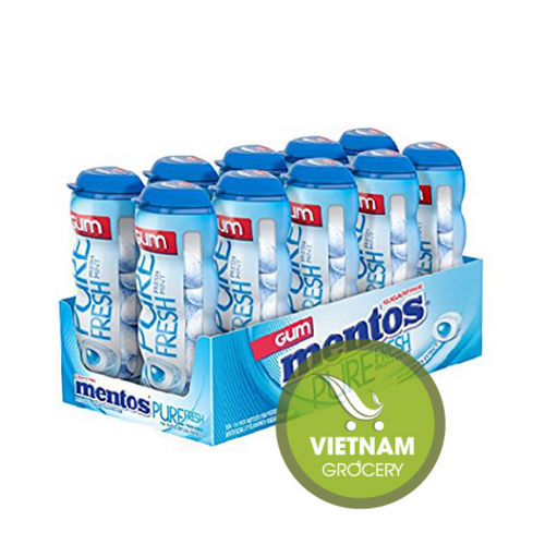 Mentos Gum Pocket Bottle, Pure Fresh Mint, 1.06 OZ Packs (Pack of 20)