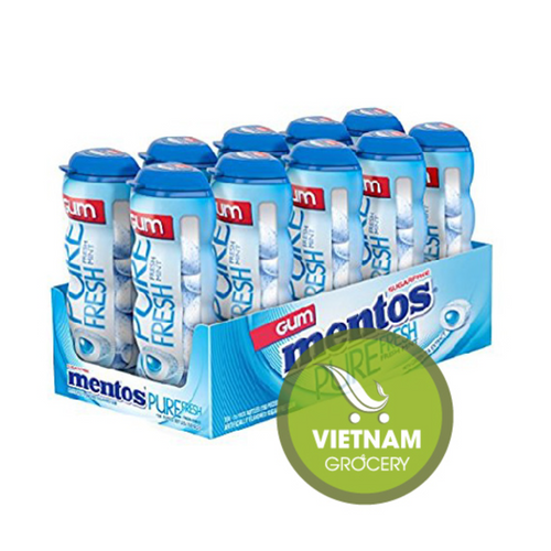 Mentos Gum Pocket Bottle, Pure Fresh Mint, 1.06 OZ Packs (Pack of 20)