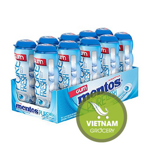 Mentos Gum Pocket Bottle, Pure Fresh Mint, 1.06 OZ Packs (Pack of 20)