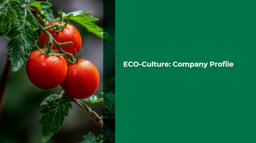 ECO-Culture_company profile