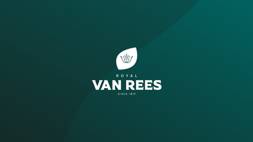 Van Rees Group - Company Presentation