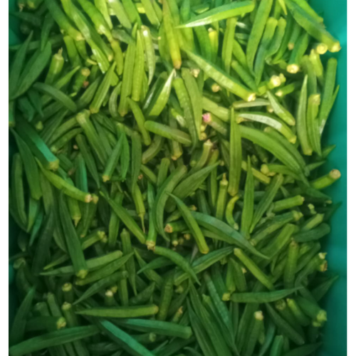 Frozen Lady's Finger