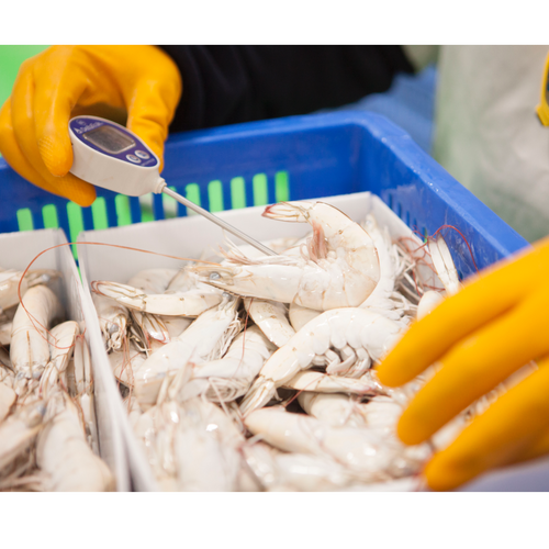 Brine Head On Shell On Shrimp