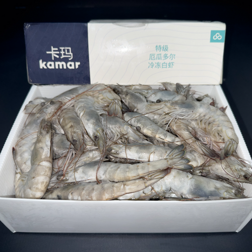 HOSO - Whole Shrimp