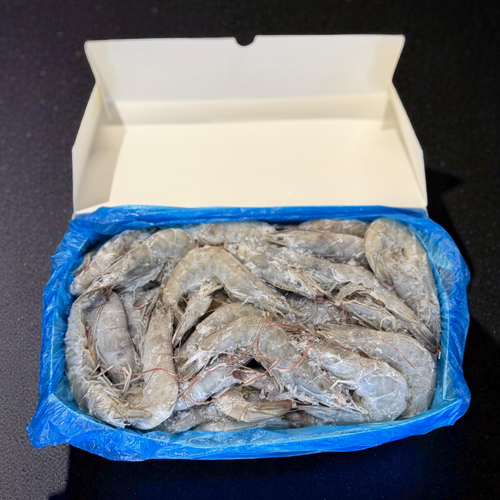 HOSO - Whole Shrimp