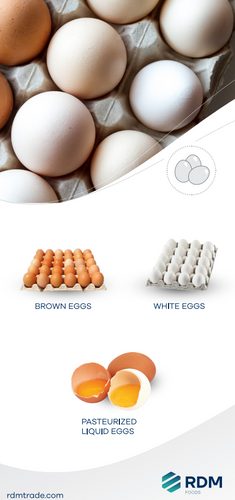 EGG PRODUCTS