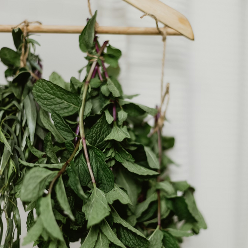 Dried Mint Leaves