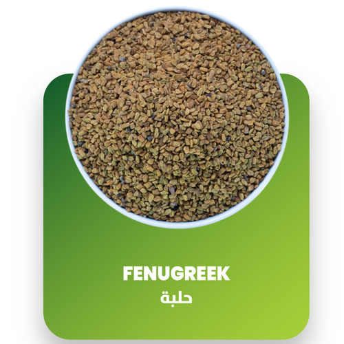 FENUGREEK