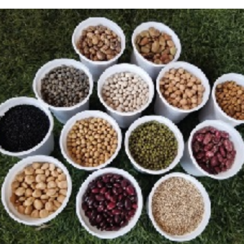 PREMIUM QUALITY PULSES AND OILSEEDS