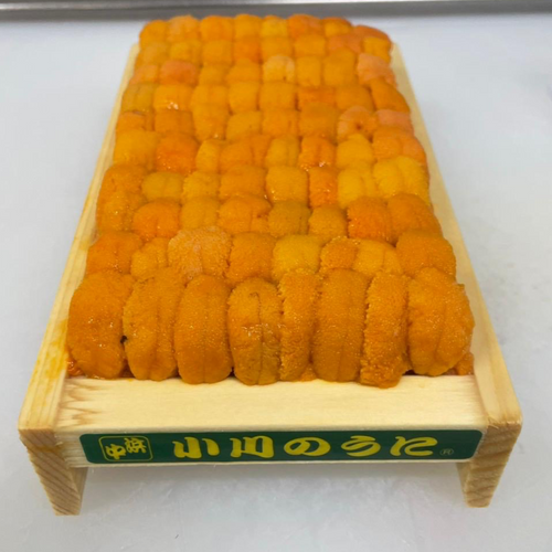Premium Hokkaido Sea Urchin Uni