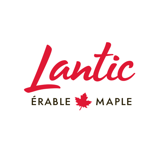 Company Brochure (English)