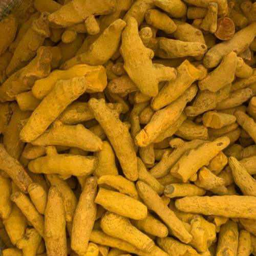 TURMERIC FINGER