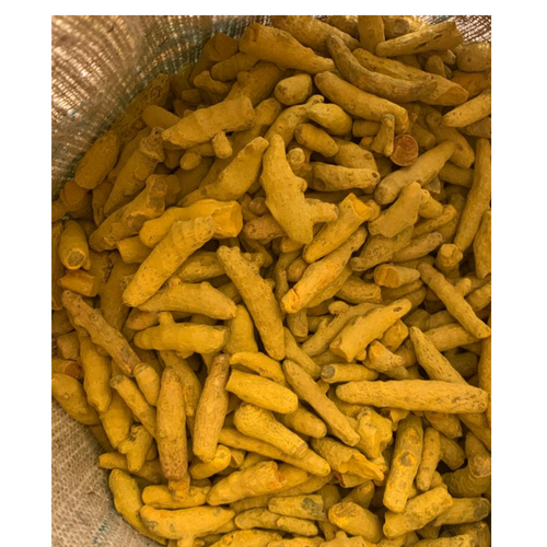 TURMERIC FINGER