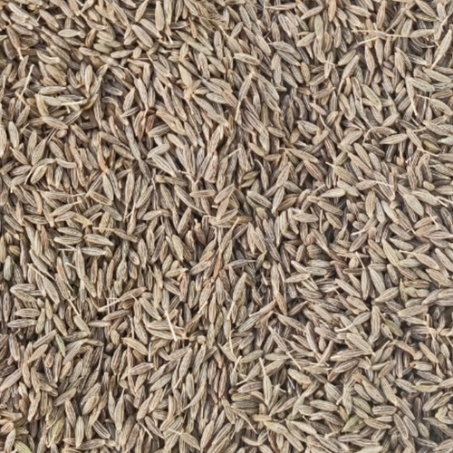 Cumin Seed