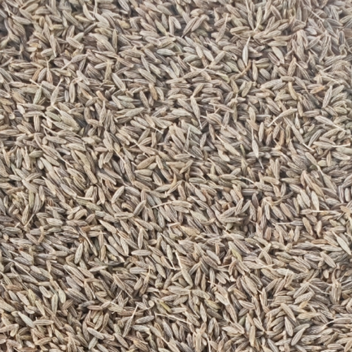 Cumin Seed