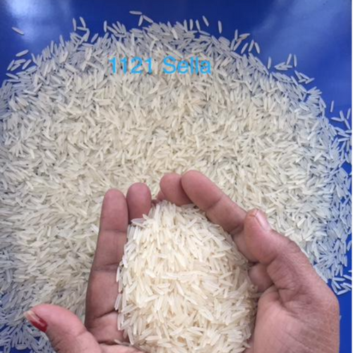 1121 Sella Rice