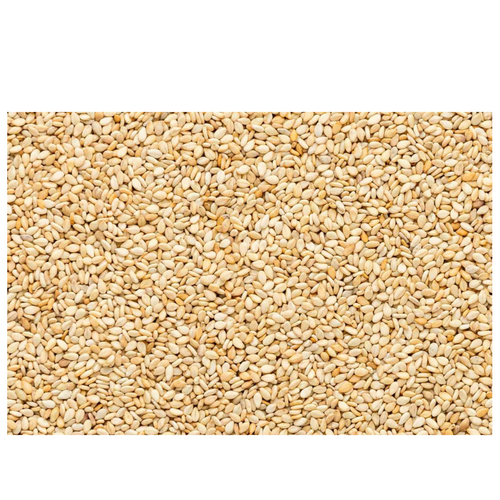 Sesame Seeds