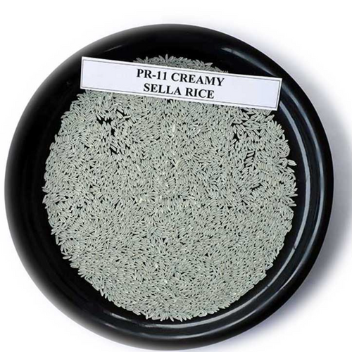 PR 11/ PR 14/ PR 106 Rice