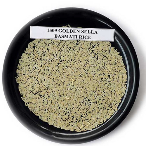 1509 Basmati Rice