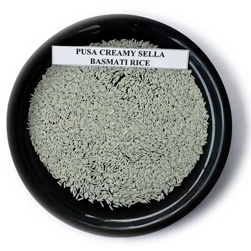 Pusa Basmati Rice