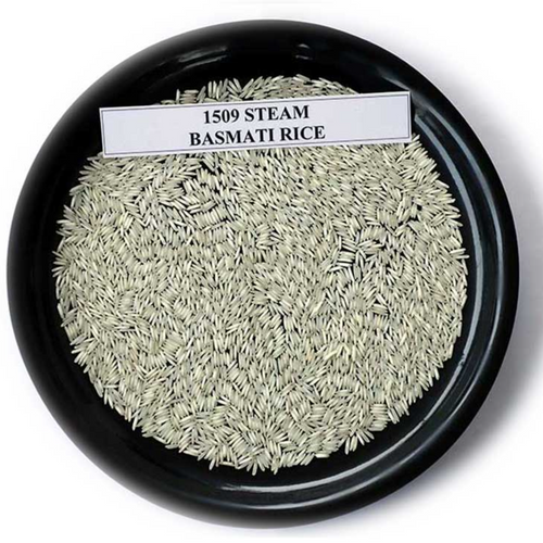 1509 Basmati Rice
