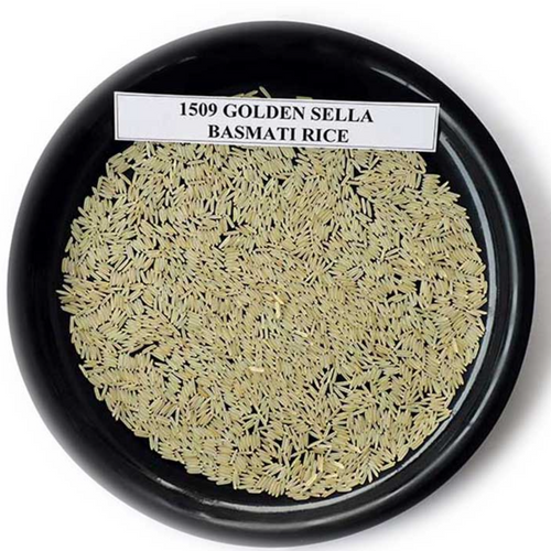 1509 Basmati Rice