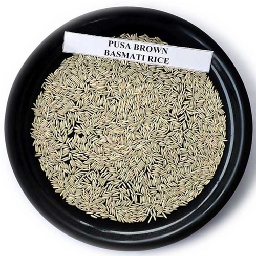 Pusa Basmati Rice