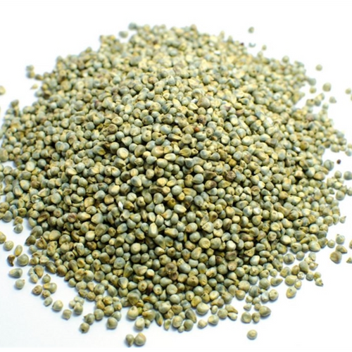 Ancient Grains: Wholesome Millet Seeds