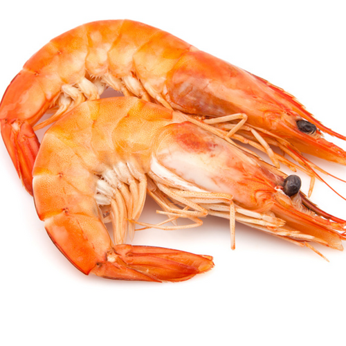 Ecuadorian Shrimp (Peanus Vannamei)