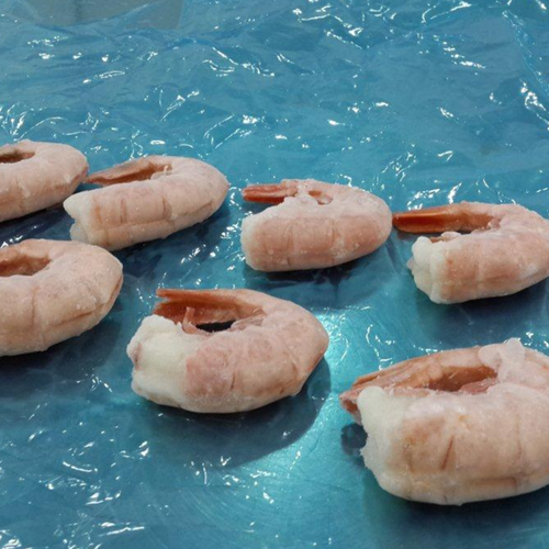 Argentine Red Shrimp (Pleoticus muelleri)