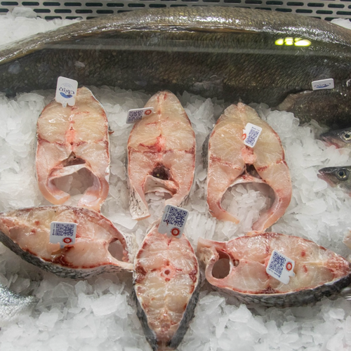Farmed Meager/ Corvina
